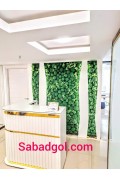 دیوار سبز خزه ای برای کیلینیک زیبایی